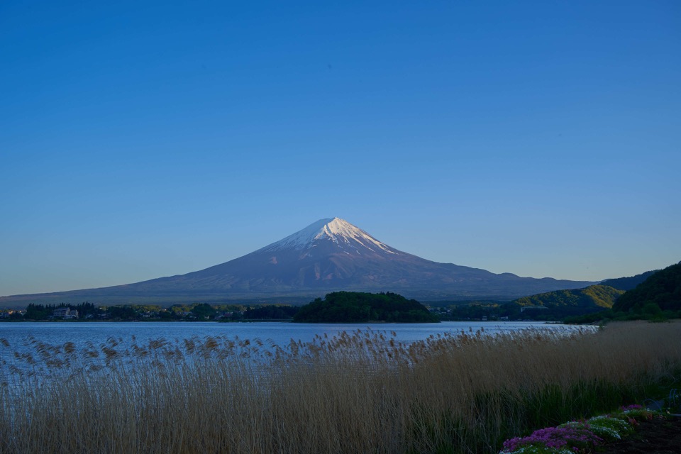 Fuji